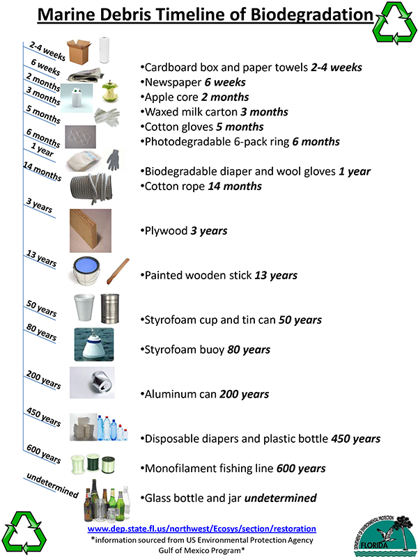Marine Debris Timeline of Biodegradation