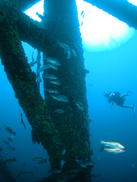 Rigs-to-Reefs | Bureau of Safety and Environmental Enforcement