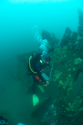 BSEE Senior Marine Archaeologist