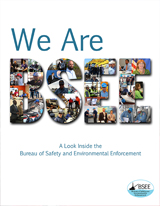 We Are BSEE