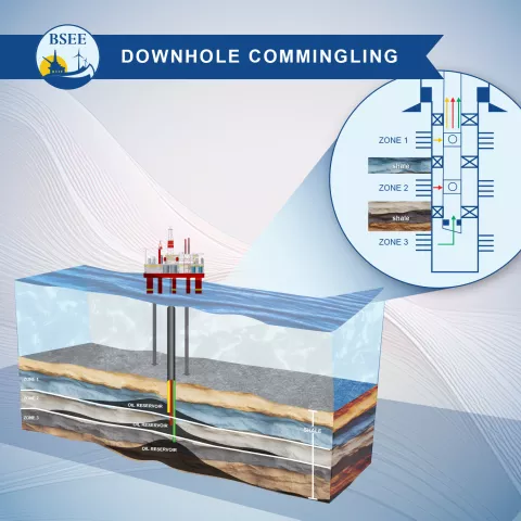 Downhole Commingling illustration