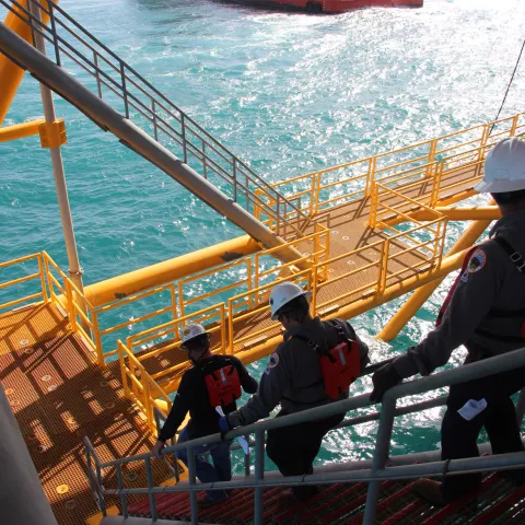 BSEE inspectors BSEE inspectors