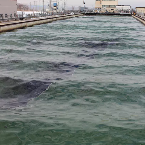 BSEE tests effects of oil dispersants in cold water at Ohmsett, BSEE