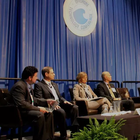 OTC 2015 Macondo Panel Large
