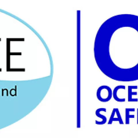 BSEE and OESI Logos