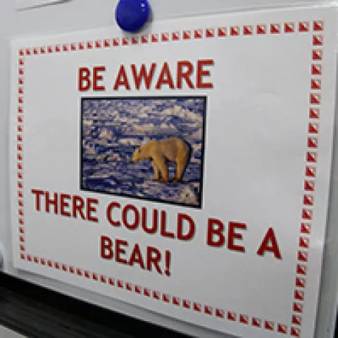 Polar Bear warning sign