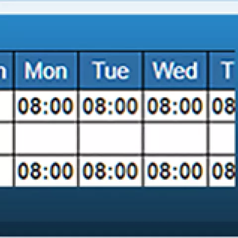 Attendance