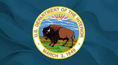 DOI logo thumbnail